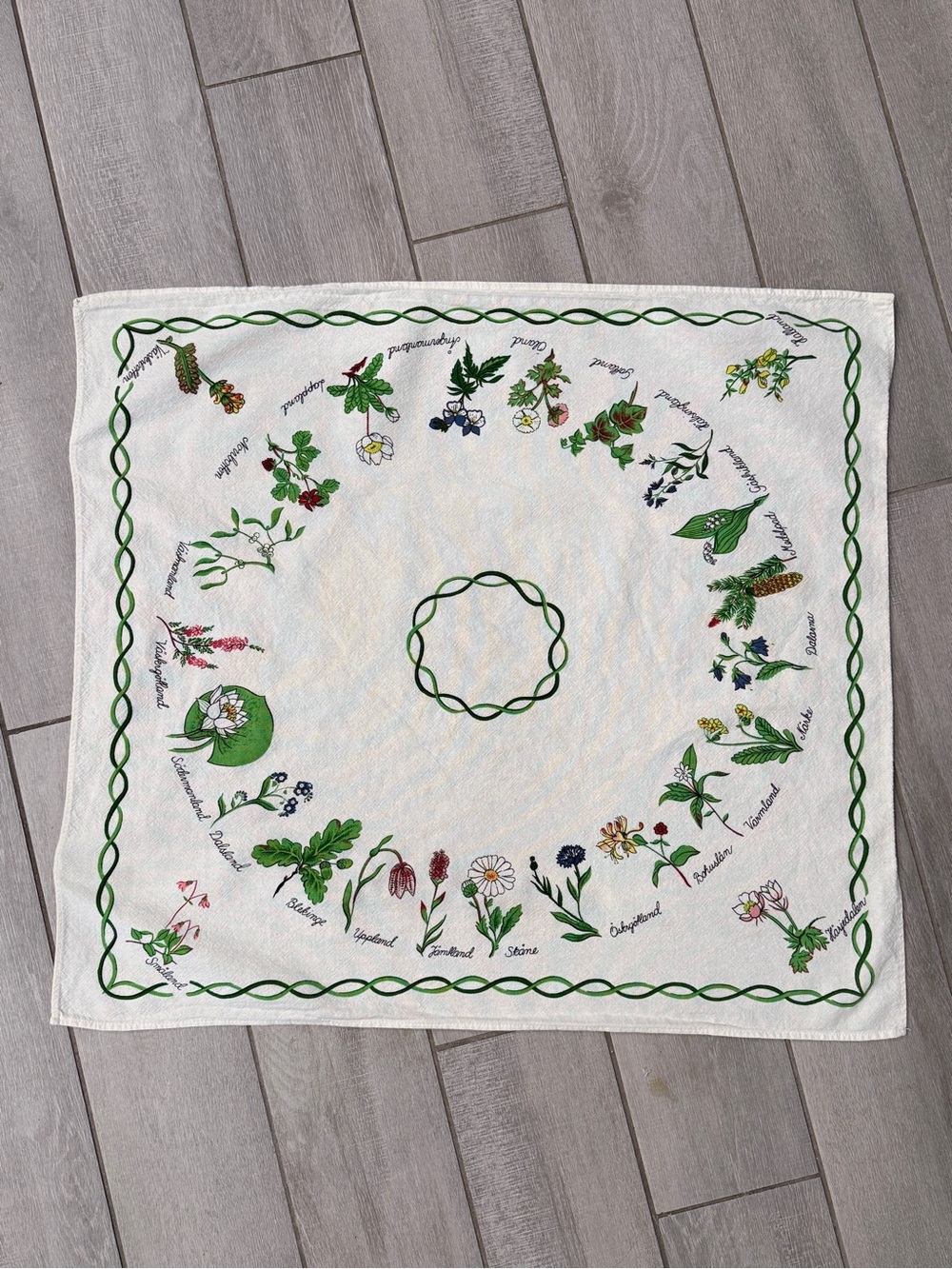 Vintage Swedish Language Botanical Cotton Tablecloth 27x29